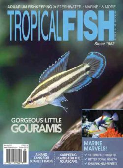 Tropical Fish Hobbyist – May-June 2023