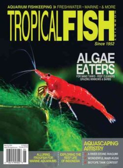 Tropical Fish Hobbyist – May-June 2024