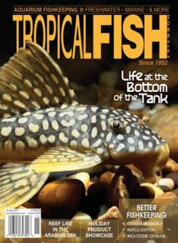 Tropical Fish Hobbyist – November-December 2019