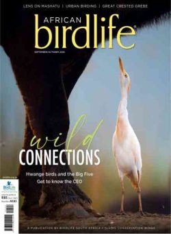 African Birdlife – September-October 2026