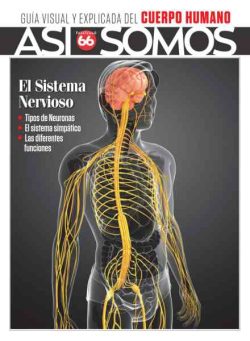 Asi Somos El cuerpo humano – Septiembre 2026