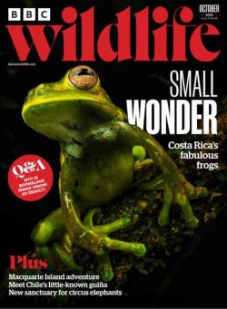 BBC Wildlife – October 2026