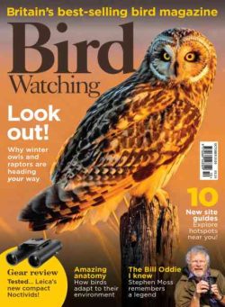 Bird Watching UK – October 2026