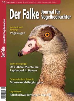 Der Falke Journal fur Vogelbeobachter – Oktober 2026