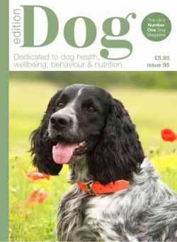 Edition Dog – Issue 95 2026