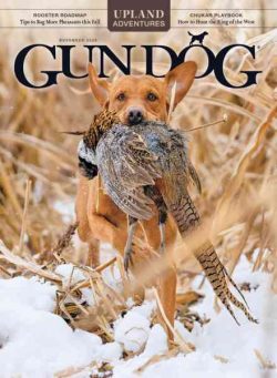 Gun Dog – November 2026