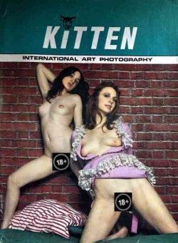 Kitten – International Art Photography