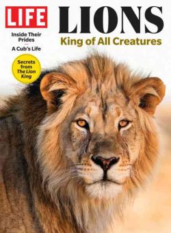 Life – Lions 2024