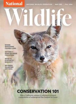 National Wildlife – Fall 2026