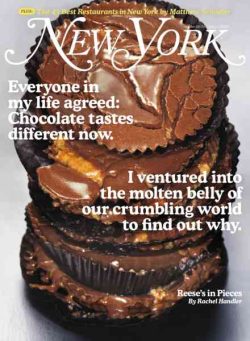 New York Magazine – 19 October 2026