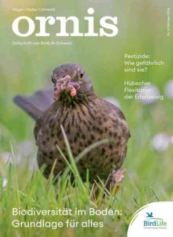 Ornis – Oktober 2026