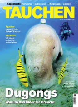 Tauchen – November 2026