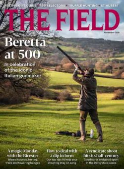 The Field – November 2026