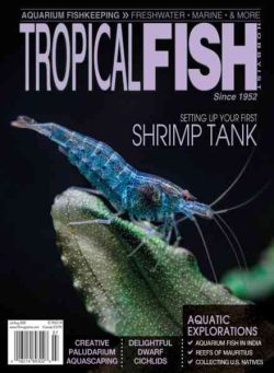 Tropical Fish Hobbyist – July-August 2020