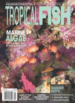 Tropical Fish Hobbyist – July-August 2022