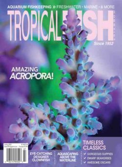 Tropical Fish Hobbyist – July-August 2023