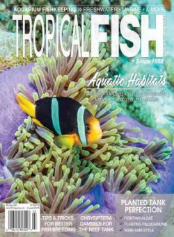 Tropical Fish Hobbyist – March-April 2020