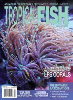 Tropical Fish Hobbyist – March-April 2024