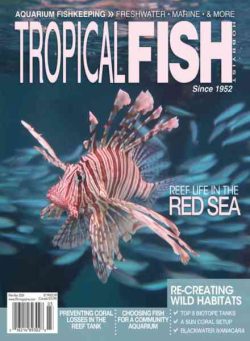Tropical Fish Hobbyist – March-April 2026