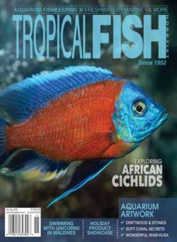 Tropical Fish Hobbyist – November-December 2020