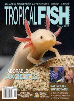 Tropical Fish Hobbyist – November-December 2023