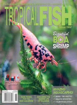 Tropical Fish Hobbyist – November-December 2026
