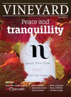 Vineyard – November 2026
