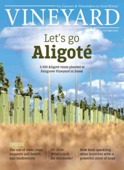 Vineyard – October 2026