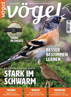 Vogel Magazin – Oktober 2026