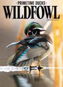 Wildfowl – November 2026